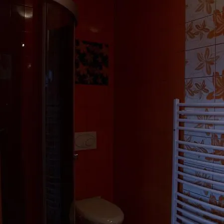 民宿 Jafer - Centrum 扎科帕内